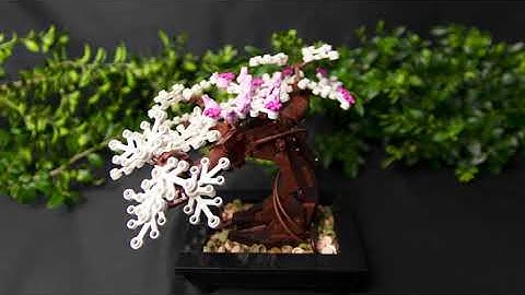 Lego Bonsai Tree 10281 Timelapse