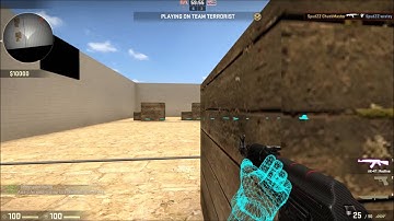 wall hacking trolling on csgo