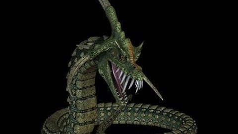 6 cách nhận biết Rắn có độc hay không có độc cực kỳ đơn giản.