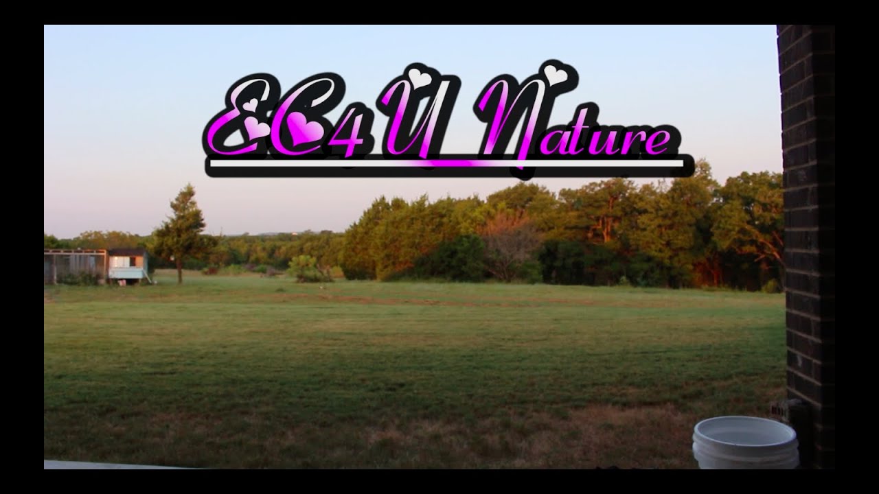 Nature Sounds  that will put you to bed instantly by EC4U