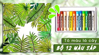 How To Color Banana LeavesTutorial Banana  Leaf Color Combinations Colored Pencils| Tô Màu Lá Chuối