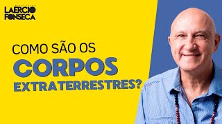 Como são os CORPOS dos EXTRATERRESTRES?