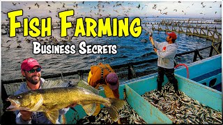 Master the Art of Fish Farming: The Complete Guide to Aquaculture Business 🐟🌿