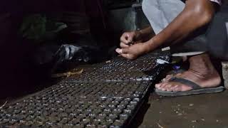 HOW SMART FARMERS PLANT CUCUMBER SEEDS IN SEEDLING TRAY WITH BARE HANDS - Agriculture Farming
