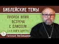 ПРОРОК ИЛИЯ.  ВСТРЕЧА С ЕЛИСЕЕМ (3-я Книга Царств).  Протоиерей Лев Большаков