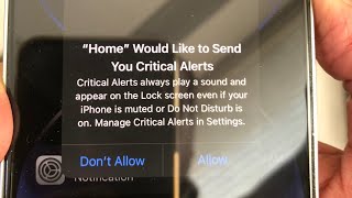 iPhone Stuck on Home would like to Send you Critical Alerts [Fixed] screenshot 3