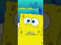 Squidward Erased All SpongeBob S Memories About Him Spongebob