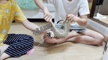 너무 사고쳐서 위치추적기 달아놈ㅋㅋㅋㅋㅋ