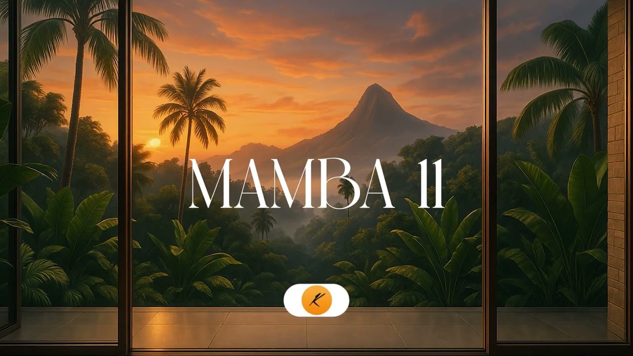 Aya Nakamura x Gims Type Beat Melodic x Afrobeat Type Beat "Mamba ll" adlı videoyu YouTube'da izle Aya Nakamura x Gims Type Beat Melodic x Afrobeat Type Beat "Mamba ll" adlı videoyu YouTube'da izle
