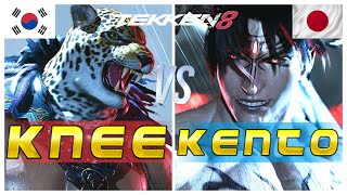 Tekken 8 🔥 Knee (King) Vs Kento (Devil Jin) 🔥 Ranked Matches