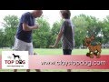 Clay's Top Dog Training in Conway Arkansas Clay's Top Dog Training in Conway Arkansas