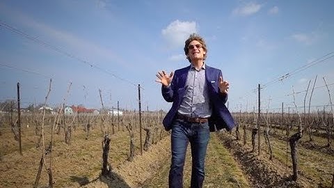 Why our real estate videos take your listing to the next level