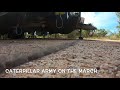 Caterpillar army on the march