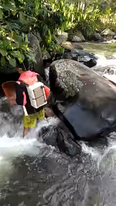 Setrum ikan di sungai deras 2 kondensor satu platina/electricity fishing part 2