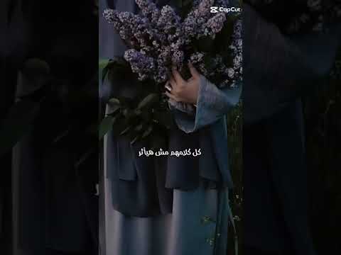 كل كلامهم مش هيأثر