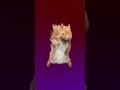 What'up?#roblox #ななにー #野獣#ヒカマニ