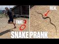 TERRIFYING SNAKE PRANK | DAD LOSES IT WHEN SON THROWS FAKE SNAKE AT HIM WHILE VIDEOING REAL SNAKE