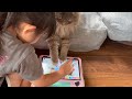 子供と一緒にタブレットで遊ぶ猫　サイベリアン