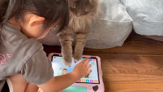 子供と一緒にタブレットで遊ぶ猫　サイベリアン