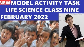 WB BOARD MODEL ACTIVITY TASK CLASS NINE LIFE SCIENCE FEBRUARY 2022.