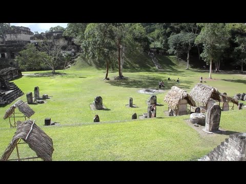 Découverte des Civilisations Légendaires : Les Cités Mayas