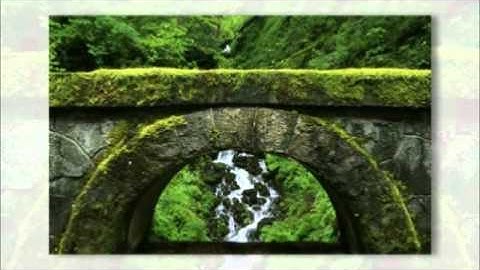 تأملات ( سورة القلم7-19 ) مع الشيخ / صالح المغامسي