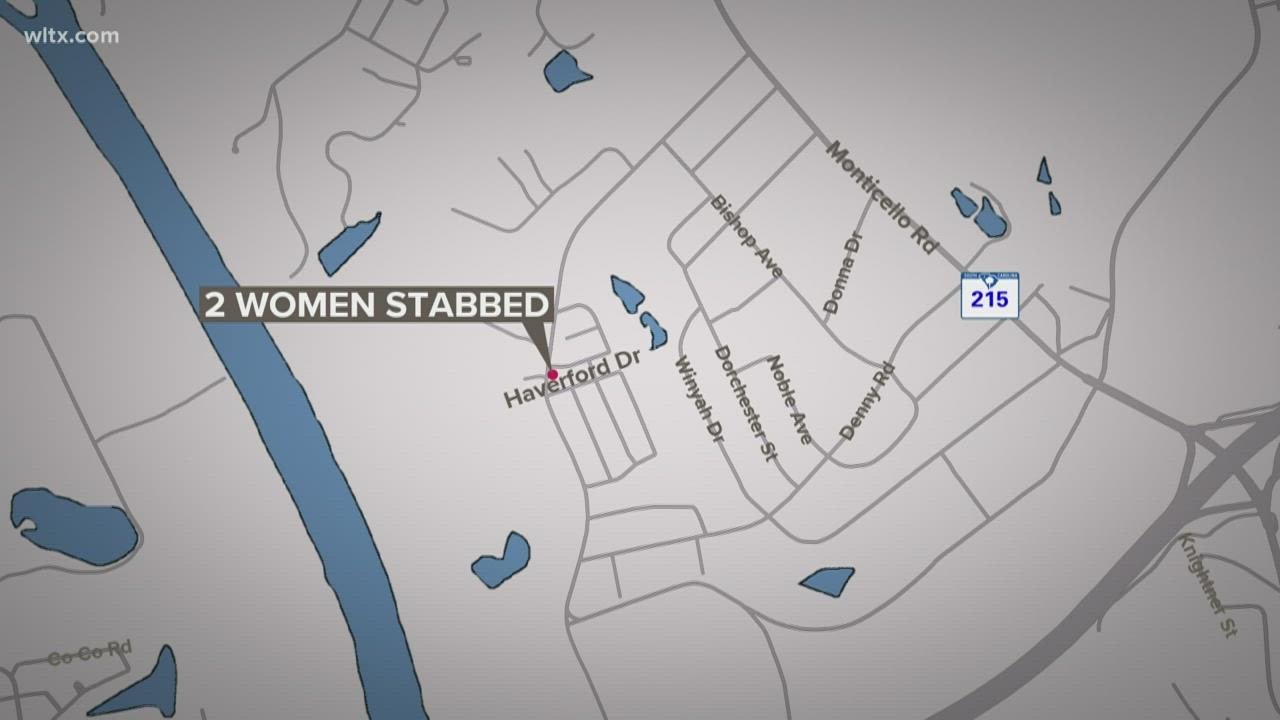 One detained after two women found dead in north Columbia, officials say