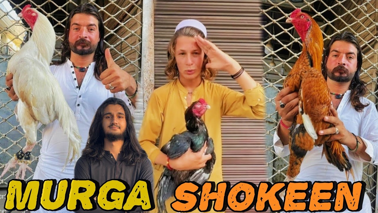 Birds Mandi Raja Bazar Rawalpindi | Aseel Murghon Ki Mandi | Fancy Birds Cheapest Market