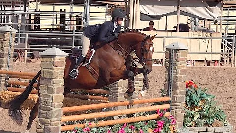 Collman Equestrian Hunter - Jumper at Westworld in...