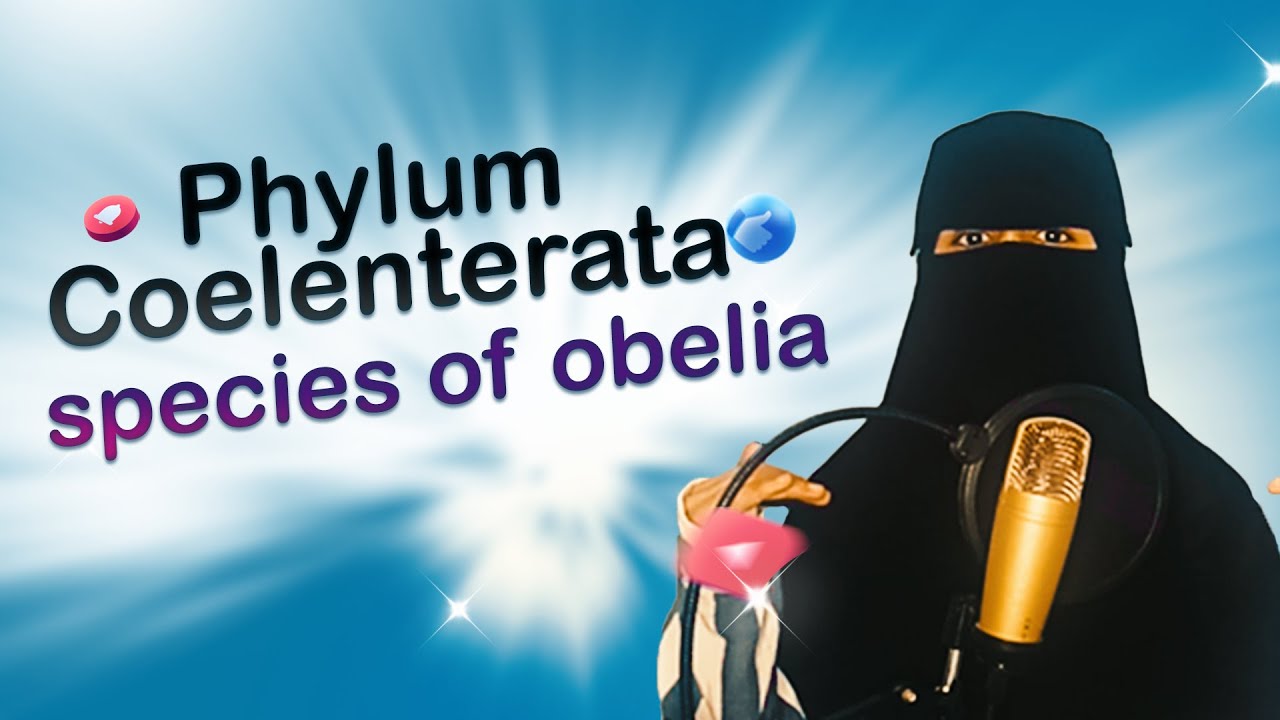 اللافقاريات المحاضرة الرابعه Invertebrates - Phylum Coelenterate (species of obelia)-كائن الأوبيليا