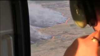 Chornobyl Forest Fire: Forecasters predict smoke poses no threat to Kyiv screenshot 4