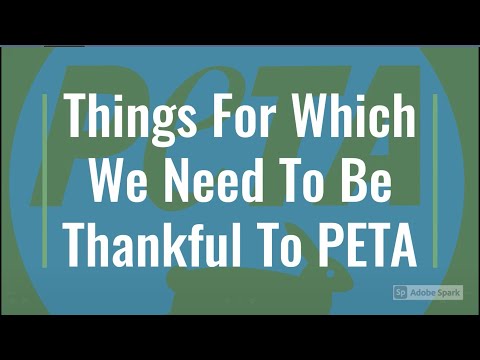 Things For Which We Need To Be Thankful To PETA