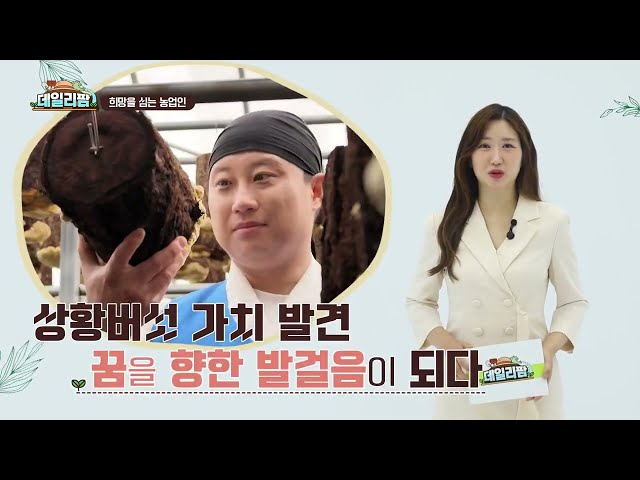 데일리팜, 희망을 심는 농업인 기사 한 줄에 인생이 바뀐 청년! 상황버섯으로 요식업까지 도전하는 강동윤 농업인