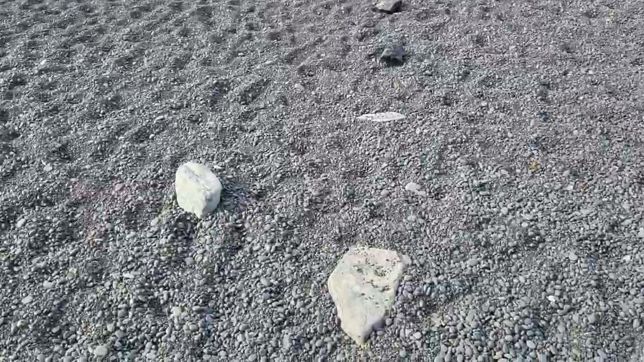 Cross THAT off of the bucket list. 