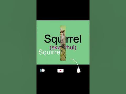 How to Pronounce Squirrel? (Correctly in British English) - YouTube