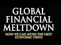 The global financial meltdown w dr metzler peconomist