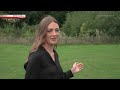 Forest Resilience - IMPACTS: Climates Change the World
