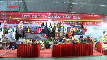 Tuyên Quang: Đẩy mạnh thu hút đầu tư, tiêu thụ sản phẩm của đồng bào dân tộc thiểu số và miền núi