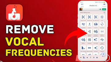 How to Remove Vocal Frequencies in AudioLab 2025?