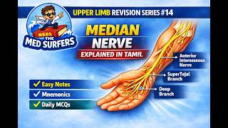 Median Nerve – Hand oda Boss! 🔥
