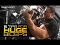 5 TIPS FOR HUGE BICEPS