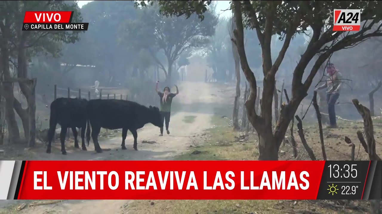 Incendios en Capilla del Monte: más de 300 bomberos combaten las llamas y ya son más de 50 los evacuados