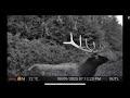 Why do I use GARDE PRO trail cameras ? Check out these clips . @Gardeprocameras