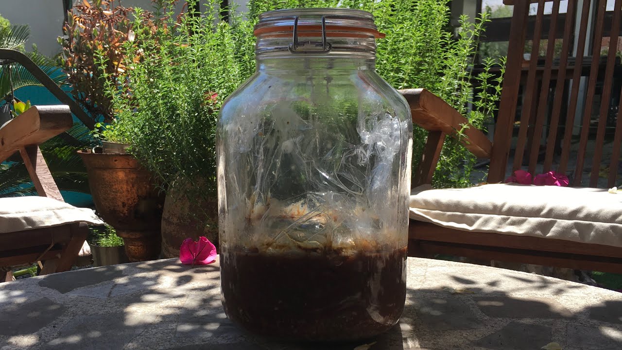 Como hacer GARUM casero. Receta completa.