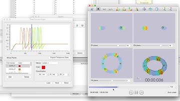 PD Tutorial 5-1: Excitation propagation on a ring