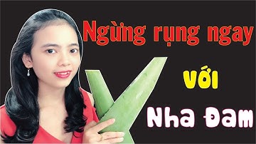 CÁCH TRỊ RỤNG TÓC SIÊU NHANH BẰNG NHA ĐAM ( 100% hết rụng, mọc nhanh)