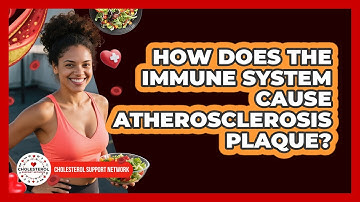 How Does The Immune System Cause Atherosclerosis Plaque? - Cholesterol Support Network