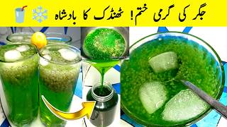 Mint Pudina Sharbat Recipe 2025 🔥 Easy &amp; Refreshing Nimbu Drink for Summer at Home 