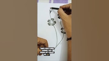 "Simple Pencil Flower Drawing | Easy Shading Art | TAUSEEF ART ✨" #drawing #pencilsketchings