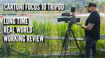 Cartoni Focus 10: Long time working review